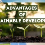 Advantages of Sustainable Development